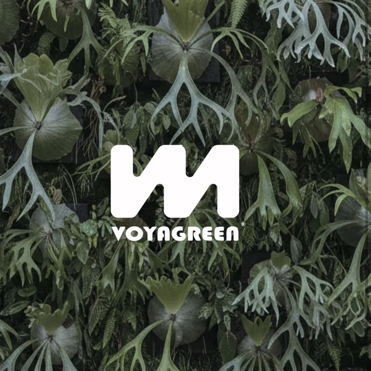 VOYAGREEN 品牌标识与鹿角蕨背景